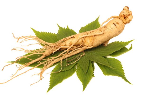 Root ginseng στην τιμή ψεκασμού zxcvbnmq