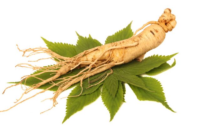 Root ginseng στο σπρέι Nicode